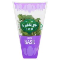 O'Hanlon Herbs Irish Basil