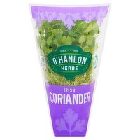 O'Hanlon Herbs Irish Coriander