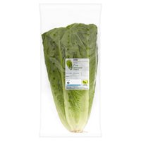 Dunnes Stores Fresh Cos Lettuce