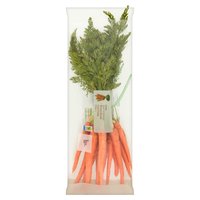 Dunnes Stores Bunched Carrots 500g