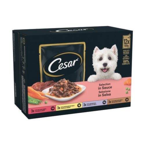 Cesar Deliciously Fresh Dog Food Pouches Mixed Selection in Sauce 12 x 100g