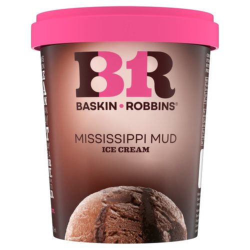 Baskin Robbins Mississippi Mud Ice Cream 500ml