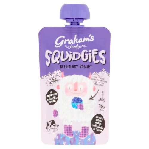 Graham's The Family Dairy Squidgies Blueberry Yogurt 100g
