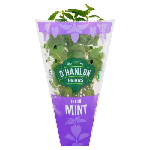 O'Hanlon Herbs Irish Mint