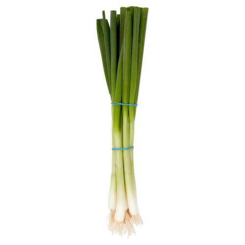 My Family Favourites Scallions