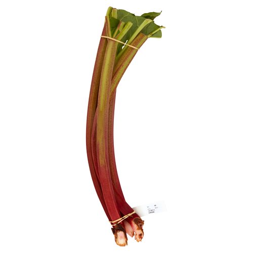 Rhubarb