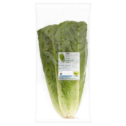 Dunnes Stores Fresh Cos Lettuce