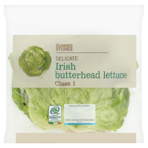 Dunnes Stores Delicate Irish Butterhead Lettuce