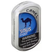 Camel Frost Snus Pouches, 1 Each