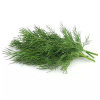 Local Dill Herb, 1.5 Ounce