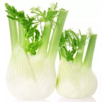 Local Fennel, 0.5 Pound