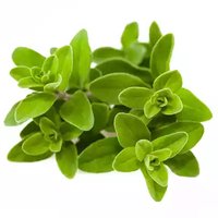 Local Marjoram, 1.5 Ounce