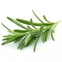 Rosemary Herb, 1.5 Ounce