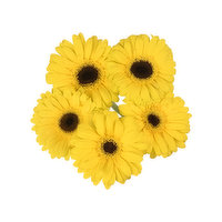 Gerbera Daisies, 5-stem, 1 Each