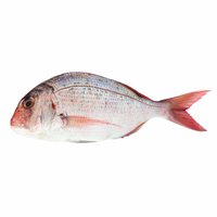 Fresh Tai Snapper, Whole, 1 Pound