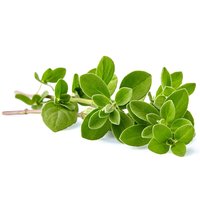 Oregano, Local, 0.5 Ounce