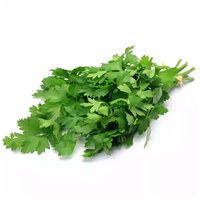 Local Italian Parsley, 0.5 Ounce