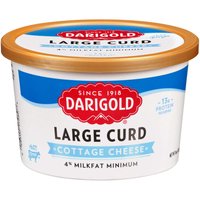 Darigold Large Curd Cottage Cheese, 16 Ounce