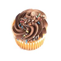 Yellow Cupcakes with Chocolate Frosting (12-count), 20 Ounce