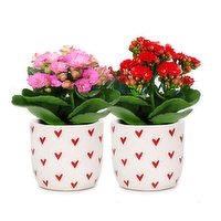 2" Red Heart Ceramic Calandiva, 1 Each