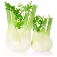 Fennel, 0.5 Pound