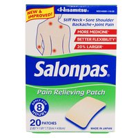 Salonpas Pain Relieving Patch, 20 Each