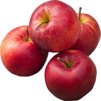 Pacific Rose Apples, 0.3 Pound