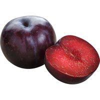 Black Plumcot, 0.5 Pound