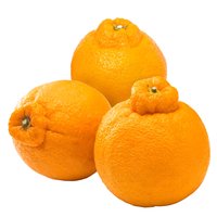 Mandarin, Sumo, 0.75 Pound