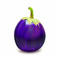 Round Eggplant, Local , 1.25 Pound