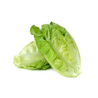 Lettuce, Local Green Baby Romaine, 1 Pound