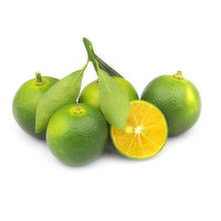 Lime, Local Organic Calamansi, 1 Pound