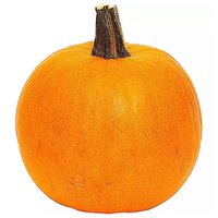 Pumpkin, Weebee Little, 0.75 Pound