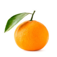 Nova Mandarin, 0.25 Pound