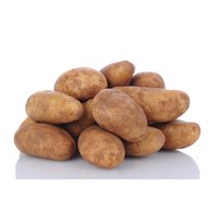 Russet Potato, 0.5 Pound