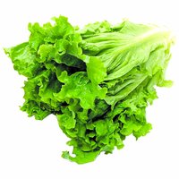 Green Leaf Lettuce, 1 Each