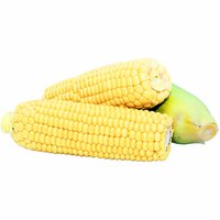 Sweet Corn, Local 