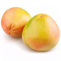 White Pummelo Grapefruit, 3 Pound