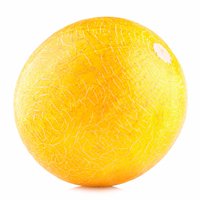 Canary Melon, 5 Pound