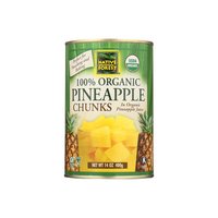 Native Forest Pineapple, Chunks, 14 Ounce