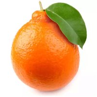 Minneola Tangelos, 0.25 Pound