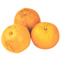 Oranges, Local, 0.5 Pound