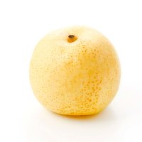 Crunchy Gold Apple Pear, 1.5 Pound