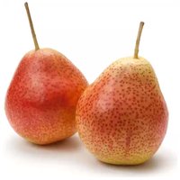 Forelle Pears, 0.4 Pound