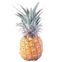 Sweet Gold Pineapple, Local, 4 Pound