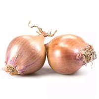 Shallots, 3 Ounce