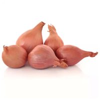 Shallots, 10 Ounce