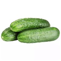 Local Baby Cucumber, 0.1 Pound