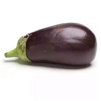 Baby Purple Eggplant, 0.3 Pound