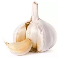 Garlic Bulbs, 3 Pack, 1 Each